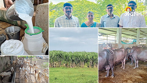 Dairy farming success story Dhule Maharashtra Patil brothers