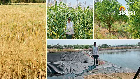 Zero tillage farming in India agriculture