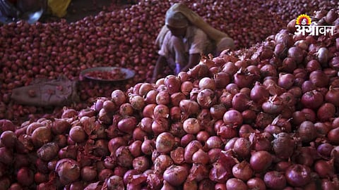Onion storage capacity increase India government plan