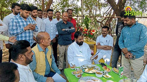 Mango Crop Loss Compensation Maharashtra 