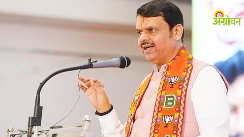 Devendra Fadnavis orders damage assessment Maharashtra farmers