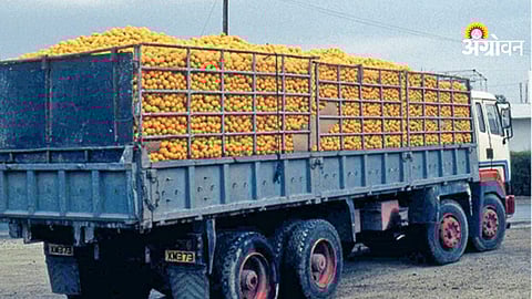 Fuel crisis effect on transport sector