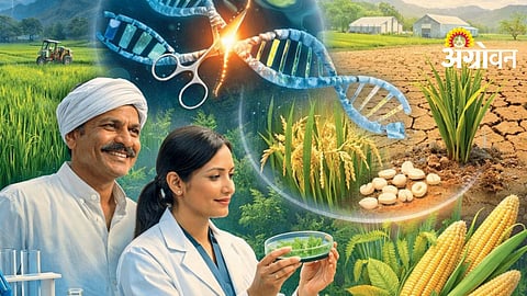 CRISPR Technology