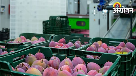 Role of BARC in agricultural export technology