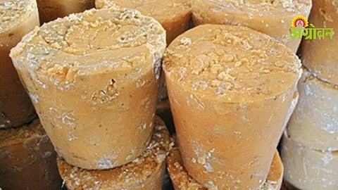 kolhapur Jaggery Market
