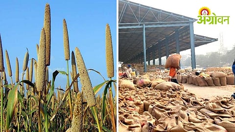 Impact of high arrivals on grain market rates