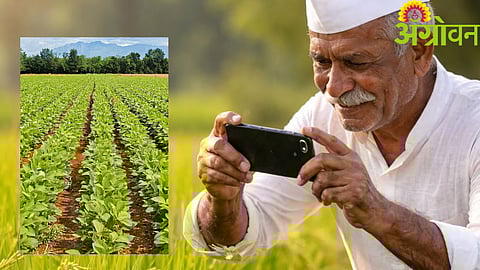 Peek Pahani Maharashtra