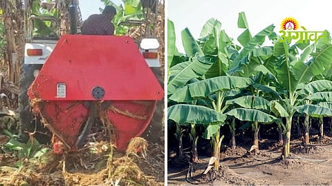 Banana Crop Shredding Machine