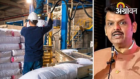 Concerns of agro input manufacturers in India