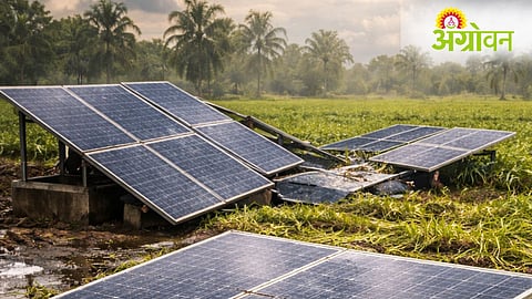 Solar Pump Scheme