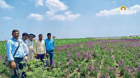 Integrated nutrient management techniques in farming