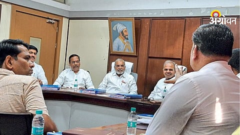 Hapus Mango Adulteration