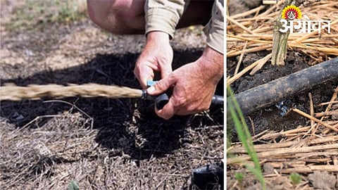 Best way to store drip irrigation pipes after season