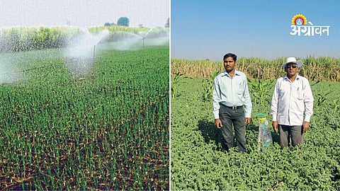  A Doctor’s Transformation into a Farmer