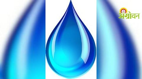 Employee Salary Delay