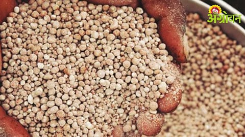 Fertilizer Allocation