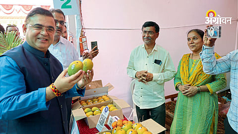 Marketing strategies for mango farmers in india