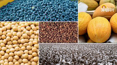 Daily agri commodity market update