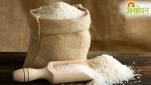 Rice Export