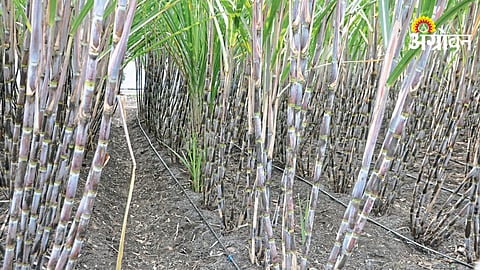 Agriculture Water Management