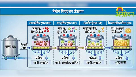 Dairy Processing Technology