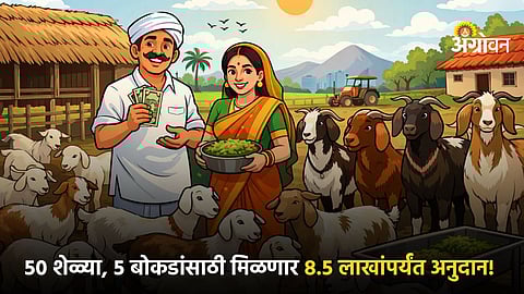 Goat and sheep farming subsidy scheme Maharashtra