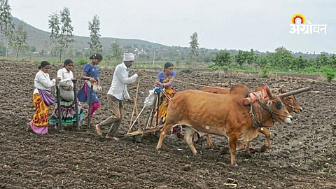 Role of women in agriculture decision making india