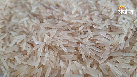 Government notification on export rules relaxation india