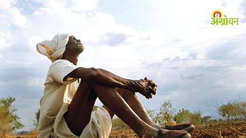 Farmer suicides in Maharashtra