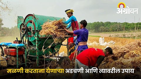 Reasons and Solutions for grain damage during threshing process.