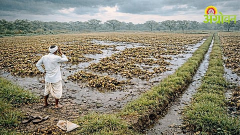 Crop Insurance Compensation Issues