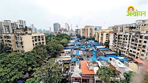 MHADA Redevelopment Project