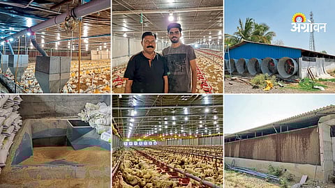 Poultry farming business in Maharashtra 