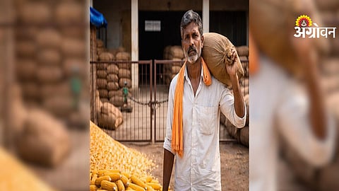 Maize Procurement Closed