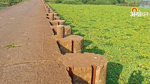 Panchganga River Pollution