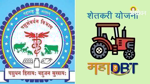 Dairy subsidy schemes in Maharashtra latest update