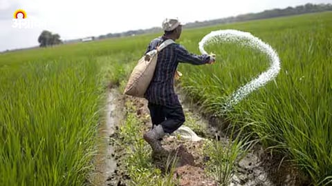 Fertilizer Import In India 