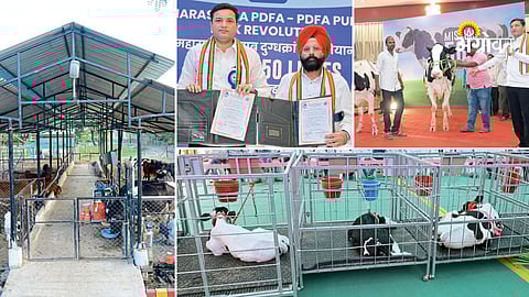 Cooperative dairy success stories Maharashtra