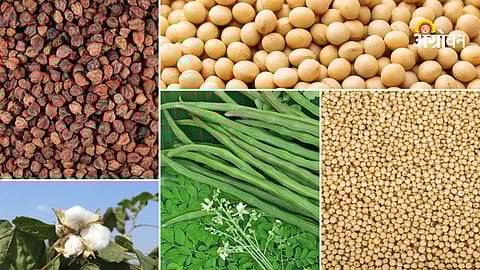 Agriculture commodity market update
