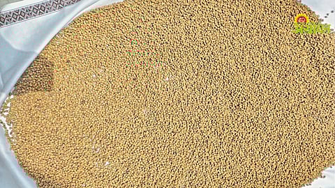 Pulses Procurement