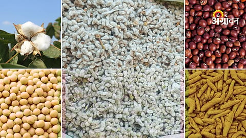 Agri commodity market trends India