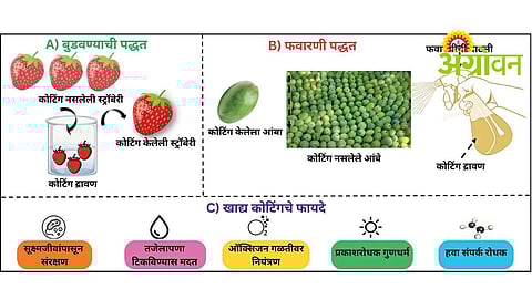 Bio Coating Technology