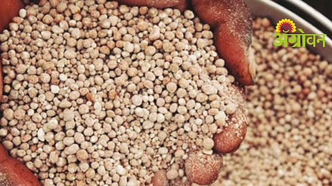 Kharif Season Fertilizer