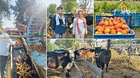 Integrated farming model success in Maharashtra