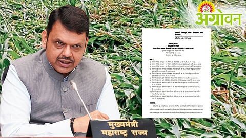 Unseasonal Rain Relief GR