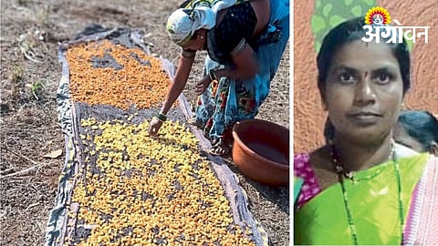 Forest Produce Becomes Lifeline for Tribal Communities