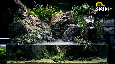 Paludarium Initiative Boosts Biodiversity Learning in Dapoli University