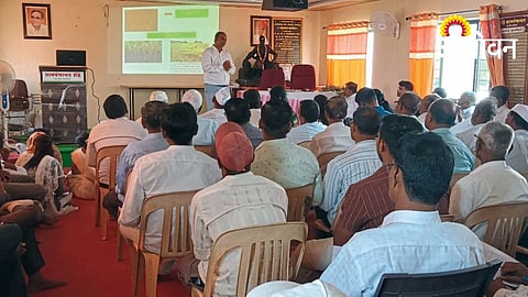 Farmers Advised to Shift Towards Ginger Processing Industry