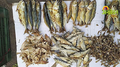 Dry Fish Demand