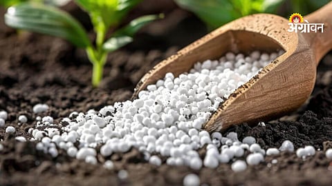 Fertilizer import delay impact on kharif season